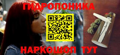 эйфоретик Новозыбков