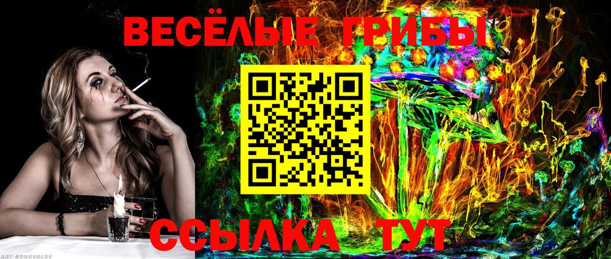 Томск  Псилоцибиновые грибы Magic Shrooms  Вход с VPN  Псилоцибиновые грибы мицелий 